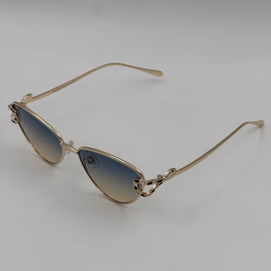 Gafas BVGR