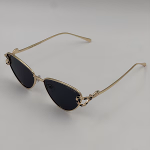 Gafas BVGR